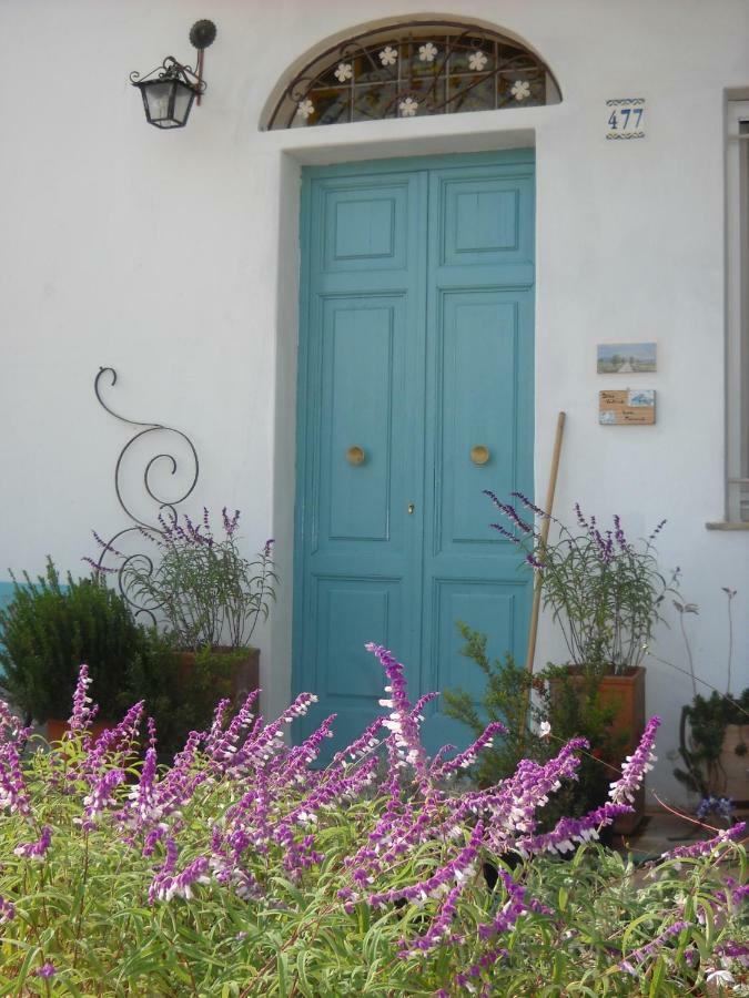 Bed and Breakfast Giardino Della Moscatella Altamura Exterior foto