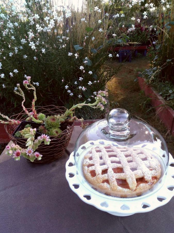 Bed and Breakfast Giardino Della Moscatella Altamura Exterior foto